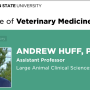 andrew_huff_prof_large_animal.png