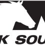norfolk_southern_corporation_logo.jpg