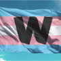 wellcome_trans_flag.png