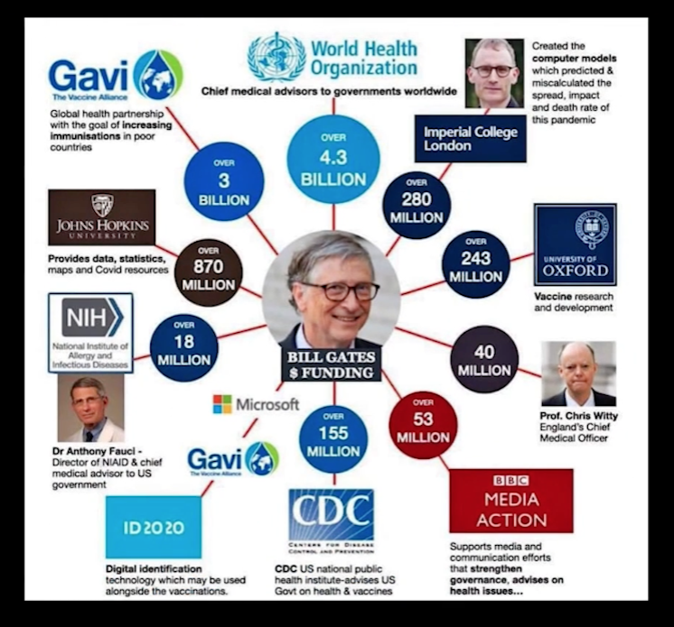 gates_funded_groups_nih_gavi_bbc_who_chart_map.png