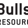 bullseye_resources_logo_.png
