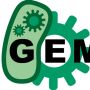 igem.jpeg