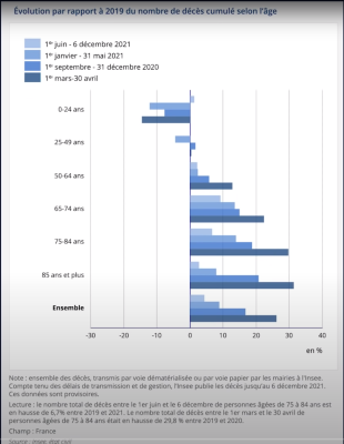 INSEE excess deaths by age group