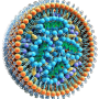 lipid_nanoparticle.png