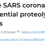 sars_spike_protein_activation_study.png