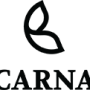 carna-logo.png